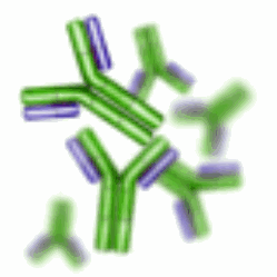 VZV gE Monoclonal Antibody - 1 mg - Virusys Corporation
