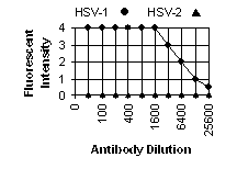 HSV-1 gG IFA Data